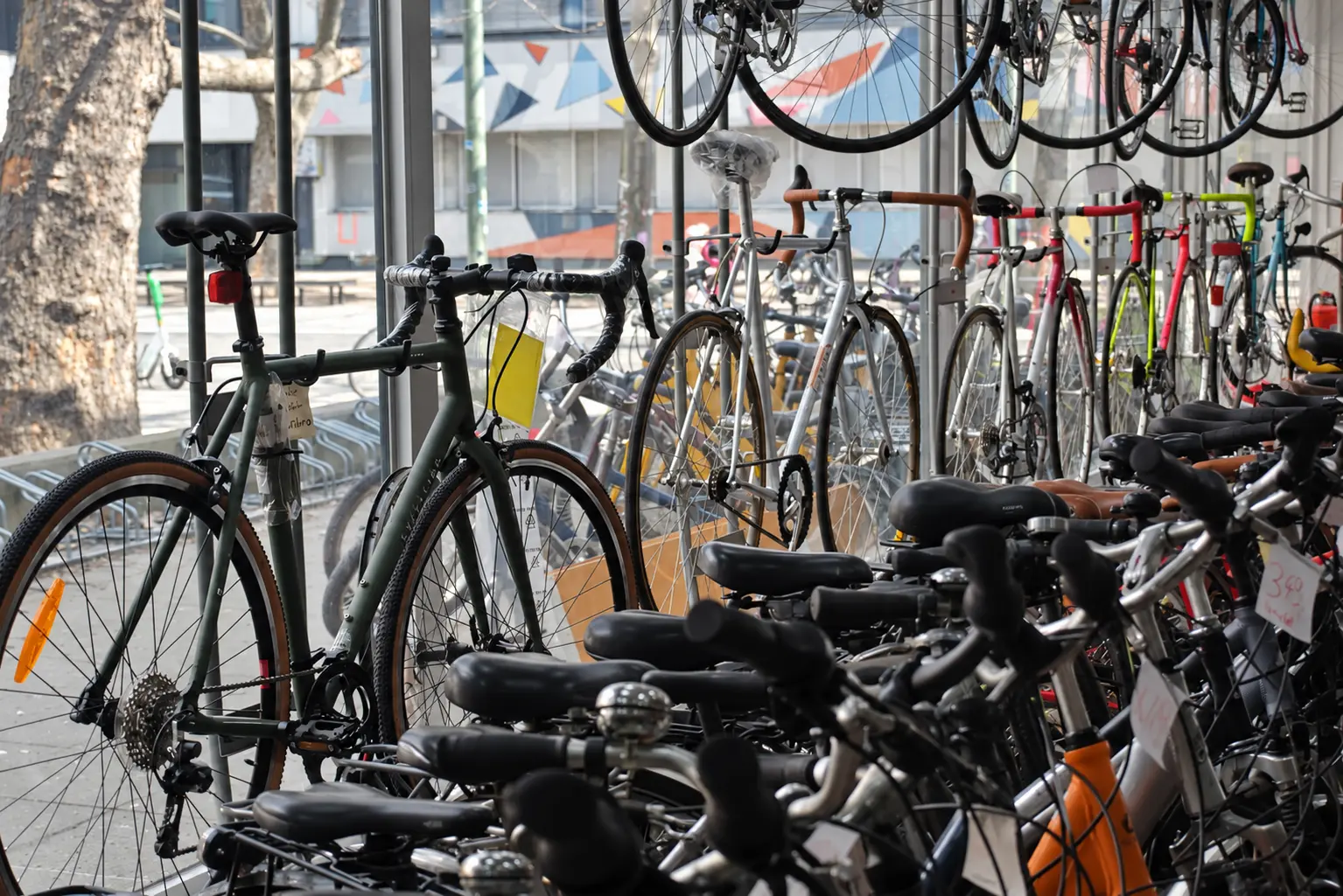 Rennräder und Cityräder im Laden
